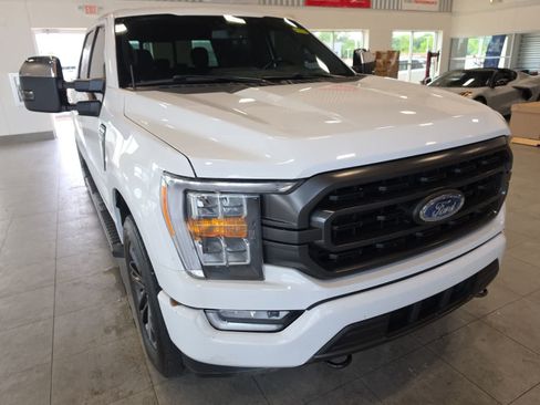 Used 2021 Ford F150 XLT w/ Equipment Group 302A High AWD/4WD image 4