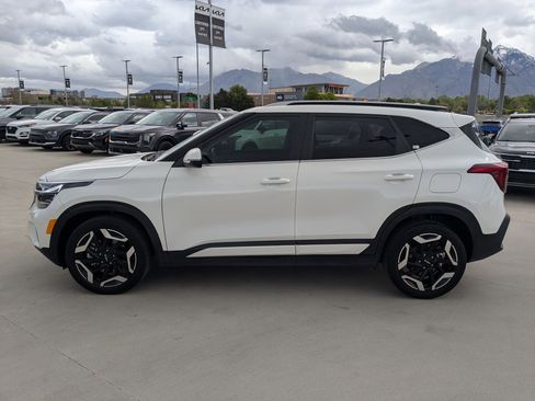 Used 2024 Kia Seltos SX w/ SX Sunroof Package AWD/4WD image 2