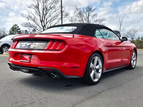 Used 2019 Ford Mustang Premium image 7