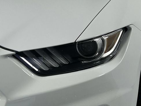 Used 2019 Ford Mustang Shelby GT350R w/ GT350R Equipment Group 920A RWD image 3