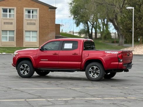 Used 2019 Toyota Tacoma TRD Sport w/ TRD Premium Sport Package image 5