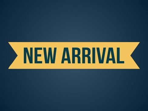 Used 2025 Ford Escape ST-Line FWD image 4