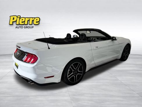 Used 2019 Ford Mustang Premium image 5