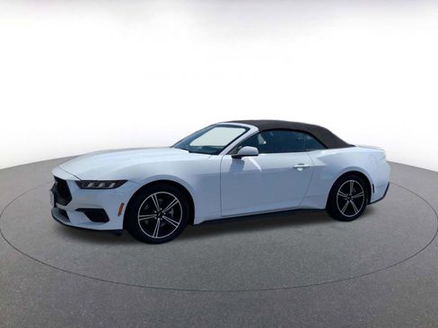 Used 2024 Ford Mustang Premium image 8