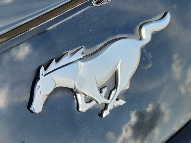 Used 2024 Ford Mustang Coupe RWD image 11