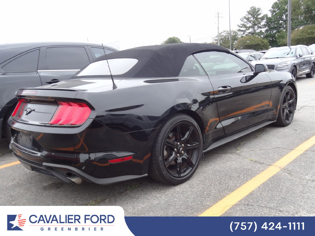 Used 2019 Ford Mustang Premium w/ Equipment Group 201A RWD image 3