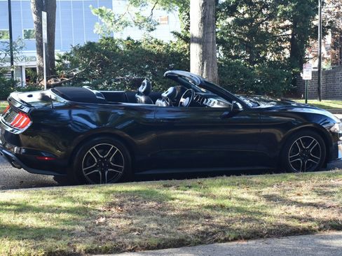 Used 2019 Ford Mustang Premium image 9