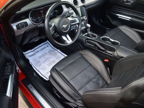 Used 2023 Ford Mustang GT Premium w/ Equipment Group 401A RWD image 2