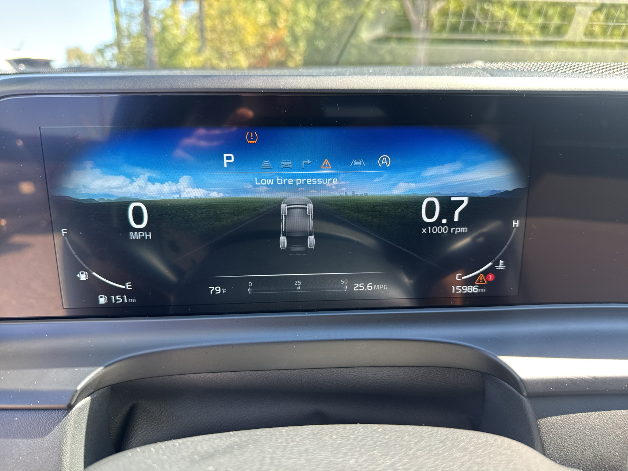 Used 2025 Kia Seltos EX FWD image 12