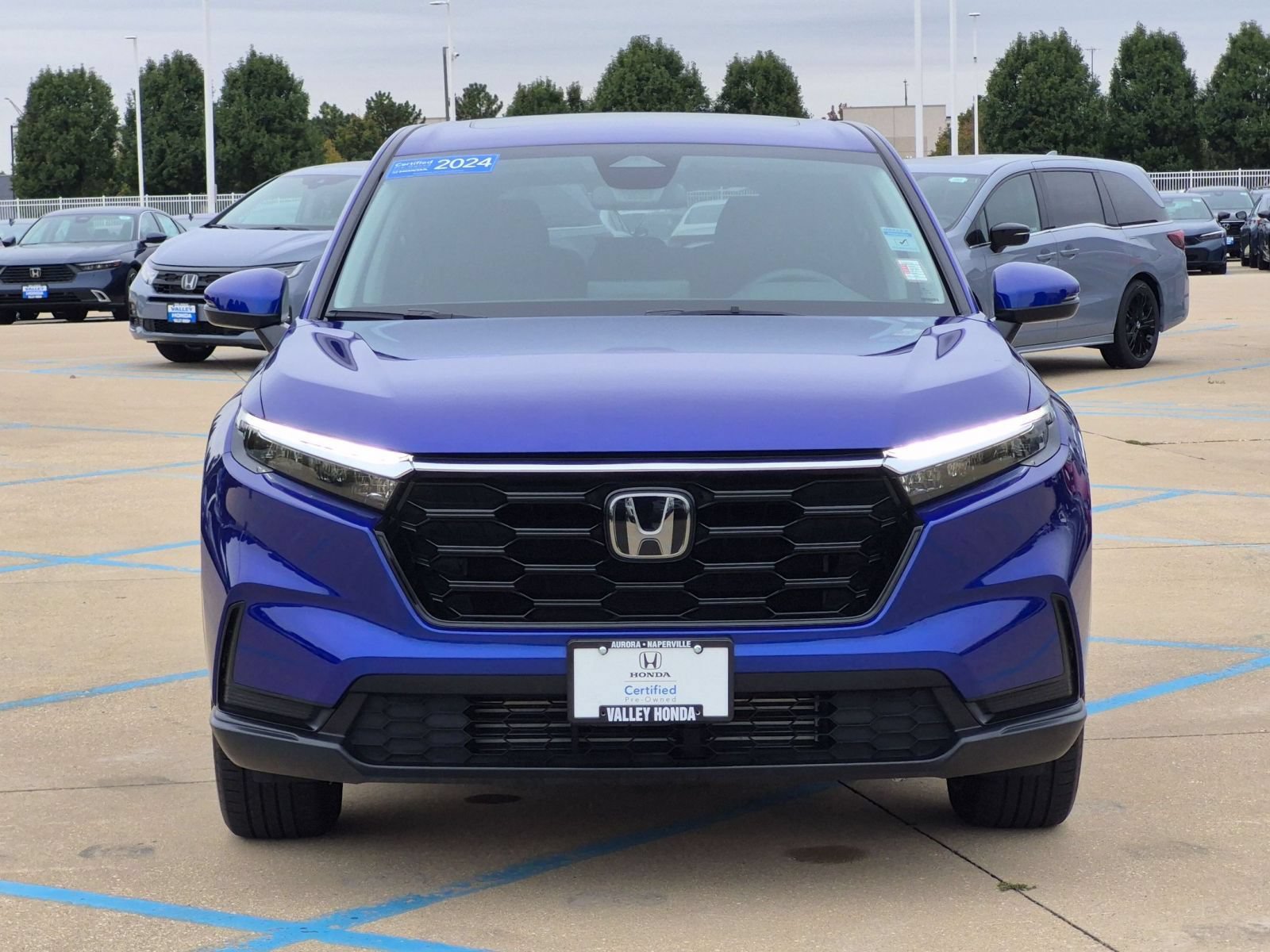 Certified 2024 Honda CR-V EX image 4