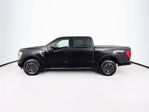 Used 2023 Ford F150 XLT w/ Equipment Group 302A High AWD/4WD image 8