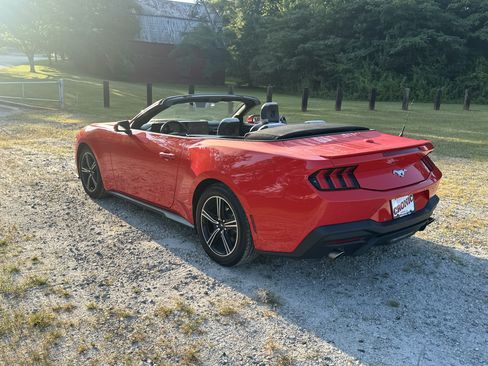 Used 2025 Ford Mustang Premium RWD image 7