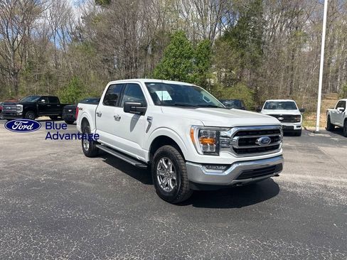 Used 2023 Ford F150 XLT w/ Equipment Group 302A High AWD/4WD image 1