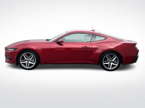 New 2024 Ford Mustang Premium image 13