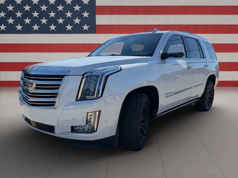 Used 2019 Cadillac Escalade Platinum image 3