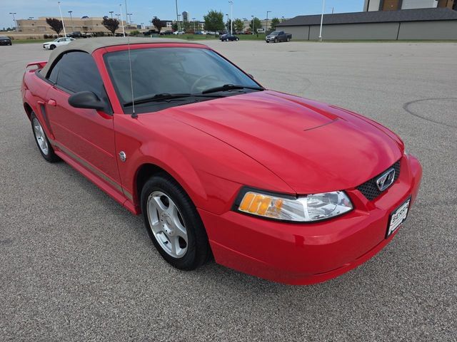 Used 2004 Ford Mustang Convertible RWD image 15