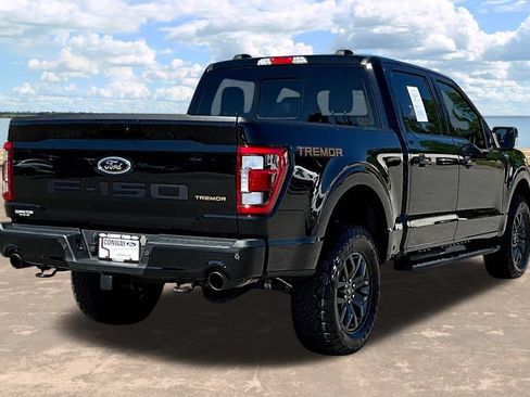 Used 2023 Ford F150 Tremor w/ Equipment Group 402A High AWD/4WD image 8