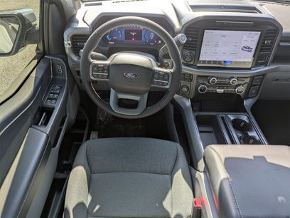 New 2025 Ford F150 XLT w/ Equipment Group 303A High