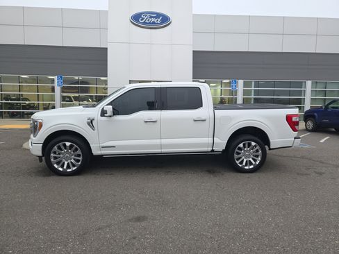 Used 2023 Ford F150 Limited image 2