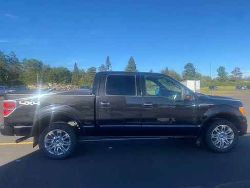 Used 2010 Ford F150 Platinum AWD/4WD image 6
