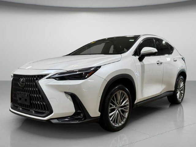 Certified 2025 Lexus NX 350h AWD w/ Cold Area Package image 8
