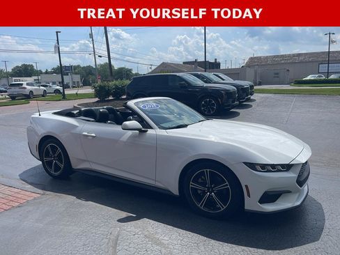 Used 2025 Ford Mustang Premium RWD image 5