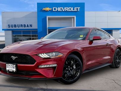 Used 2019 Ford Mustang Coupe w/ Ecoboost Performance Package