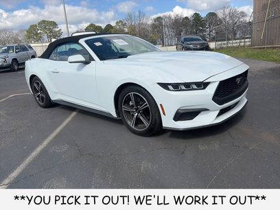 Used 2024 Ford Mustang Premium