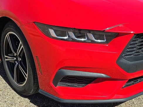 Used 2024 Ford Mustang Premium image 9