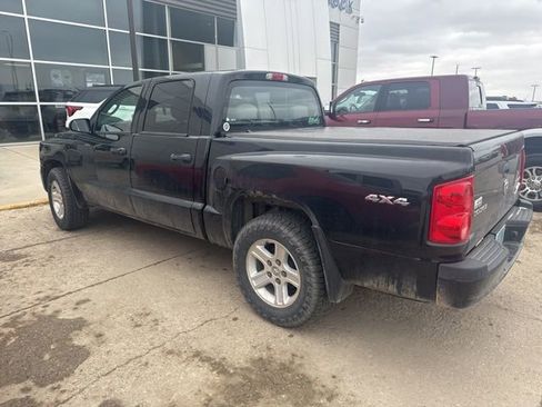 Used 2011 Dodge Dakota Big Horn image 4