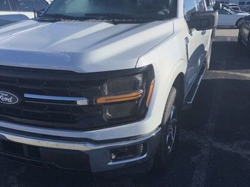 Used 2025 Ford F150 XLT w/ Equipment Group 301A Standard image 3