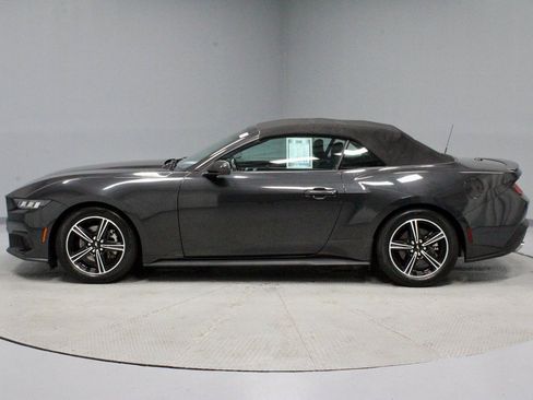 Certified 2024 Ford Mustang Premium image 9