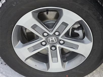 New 2025 Honda Pilot EX-L