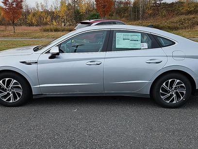New 2026 Hyundai Sonata Blue