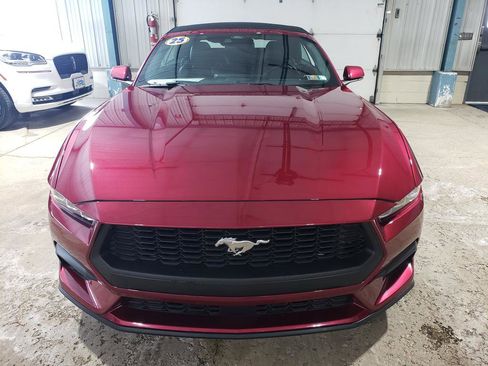 Used 2025 Ford Mustang Premium image 9