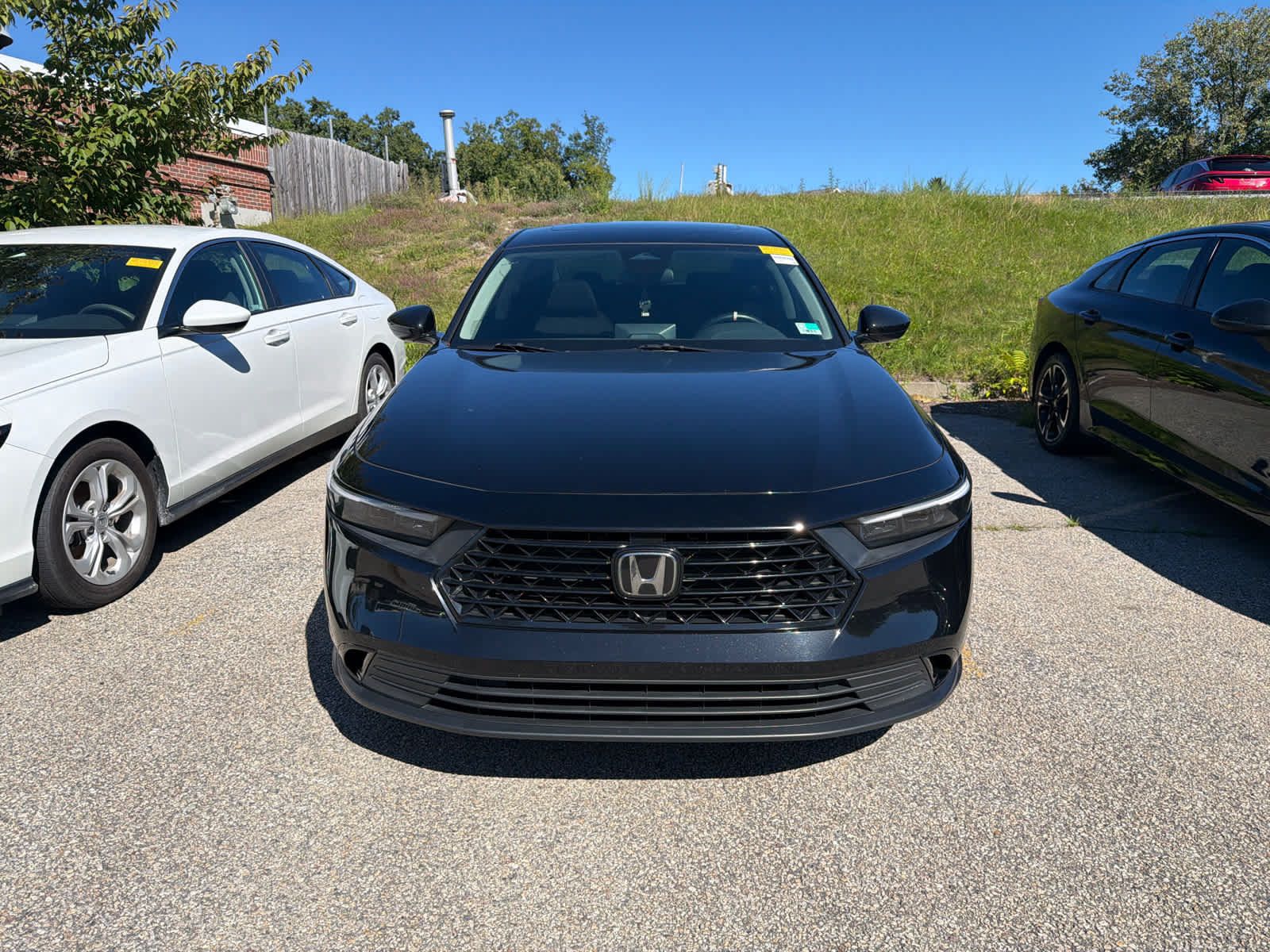 Used 2024 Honda Accord EX image 5
