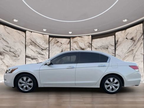 Used 2010 Honda Accord EX-L image 5