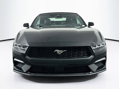 Used 2024 Ford Mustang Premium RWD image 2