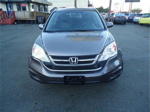 Used 2010 Honda CR-V EX-L image 3