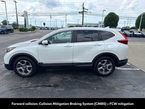 Used 2019 Honda CR-V EX-L image 6