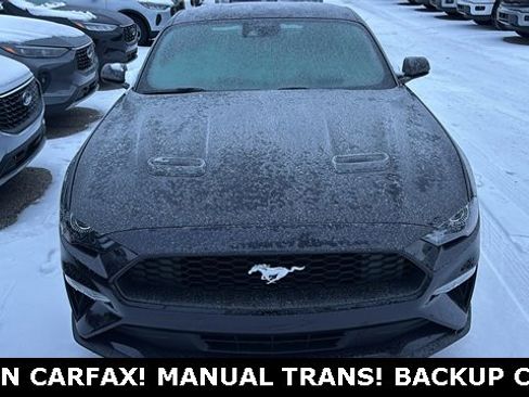 Used 2023 Ford Mustang Coupe image 5