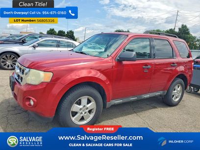 Used 2010 Ford Escape XLT