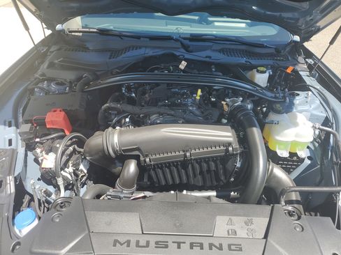 New 2025 Ford Mustang Convertible w/ Wheel & Stripe Package image 19