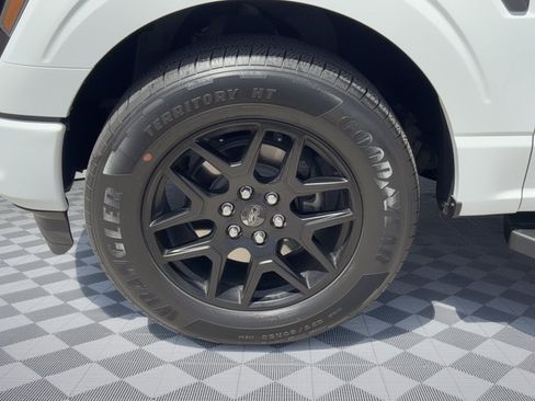 Used 2024 Ford F150 STX w/ STX Black Appearance Package RWD image 13