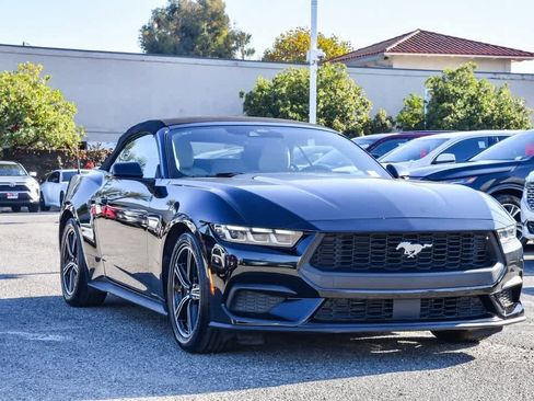 Used 2024 Ford Mustang Premium image 3