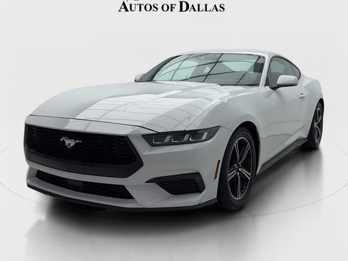 Used 2024 Ford Mustang Premium RWD image 4