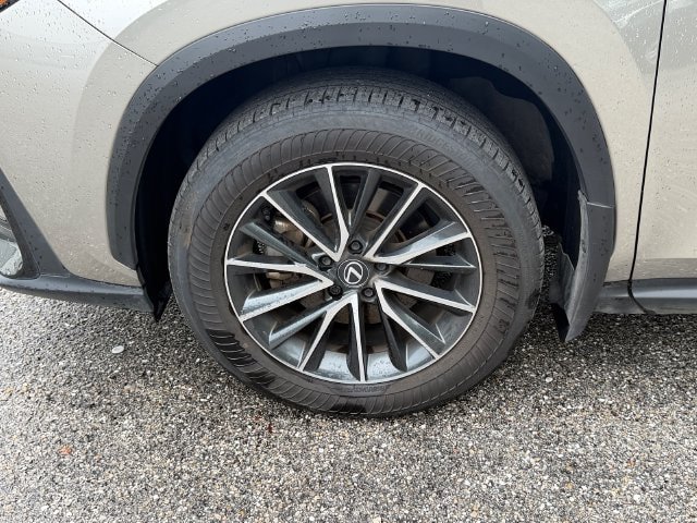 Used 2025 Lexus NX 250 FWD w/ Accessory Package (Z2) image 5