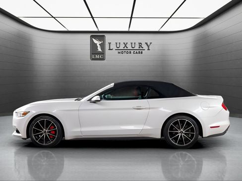 Used 2017 Ford Mustang Premium w/ Equipment Group 201A RWD image 5