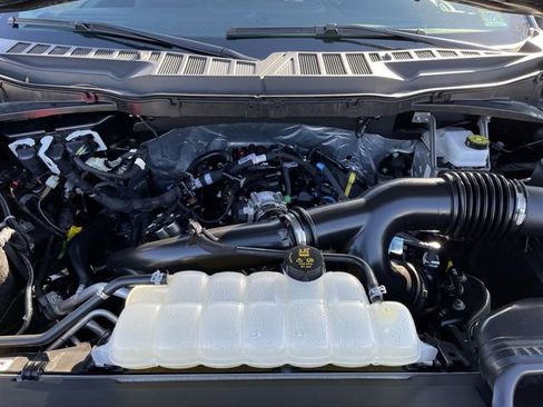 Used 2025 Ford F150 XLT w/ Equipment Group 301A Standard image 12