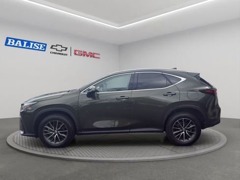 Used 2023 Lexus NX 350 AWD w/ Premium Package image 4